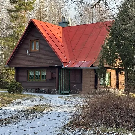 Chalet Alpina 1
