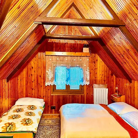 Alpina 1 Dağ evi *