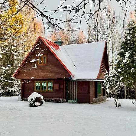 Dağ evi Alpina 1