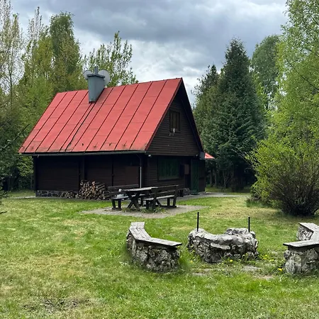 Chalet Alpina 1